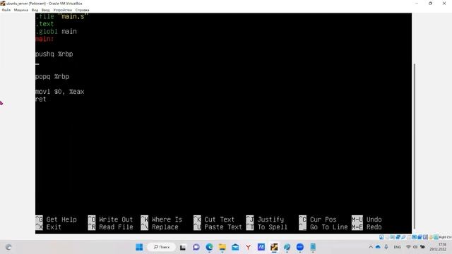 GNU Assembler x64. Компоновщик gcc смотреть онлайн
