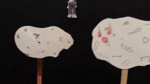 Comets, Asteroids, and Meteoroids OH MY! By Julia Sabatino and Julia Vargas p  4