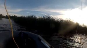 Щука нахлыстом с лодки 1.