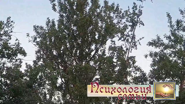 Соловьиное утро или Где брать силы чтобы жить текст под видео