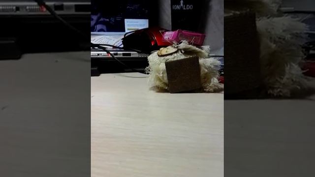 У меня дома появился домовенок смотреть онлайн