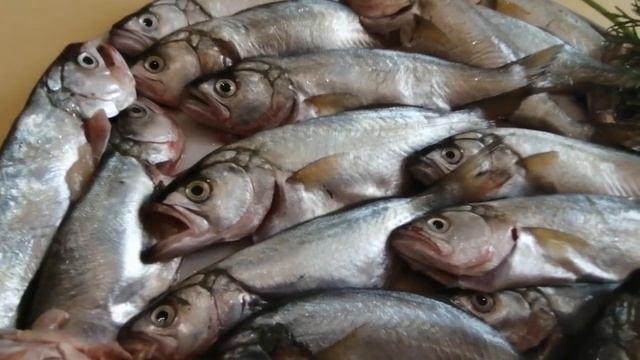 Жареный луфарь смотреть онлайн