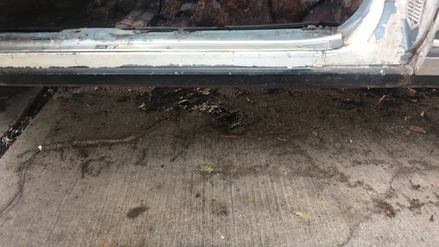 1977 2 DR BOX CHEVY CAPRICE AEROCOUPE FLOORS #boxchevyworld смотреть онлайн