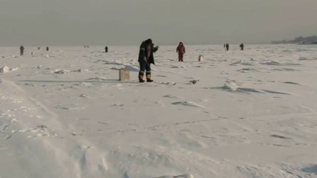 Зимняя рыбалка. Владивосток. .13.02.2013. смотреть онлайн