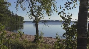 Водлозерский национальный парк. Озеро Водлозеро.