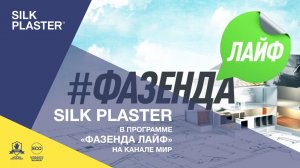 Декоративная штукатурка SILK PLASTER в программе "Фазенда Лайф"