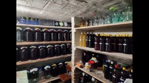 Где лучше покупать настоящее вино. Частная коллекция, г. Ейск, Краснодарский край.