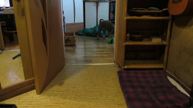 новая игрушка смотреть онлайн