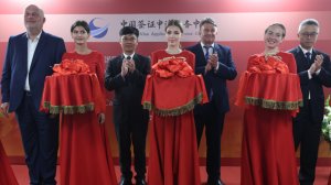 «Энтузиазм продолжает расти»: в Москве открылся визовый центр Китая