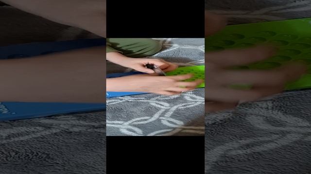 IQ Баттл смотреть онлайн