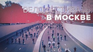 По Садовому с ветерком: в Москве прошёл весенний велофестиваль