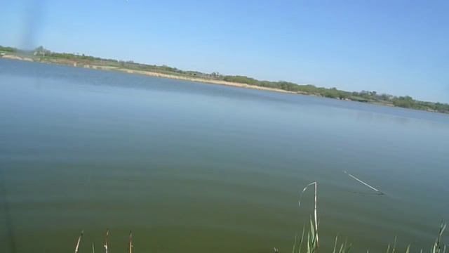Ловля карася на болонскую удочку(поплавок)