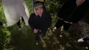 УЛЕТЕЛ на 50 МЕТРОВ от ЗЕМЛИ / Кореш, Парадеевич, FRAME TAMER, Горилла, Куертов и PLOHOYPAREN