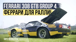 Ferrari 308 GTB Group 4 раллийная Феррари в ливрее VS Olio Fiat. Обзор и тест-драйв Давиде Чирони