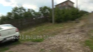Олы Сулабаш