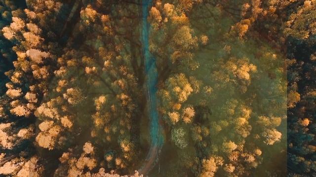 рассказ Дениса Плиева "Осень уходящая" читает Людмила Попова 2023г. смотреть онлайн