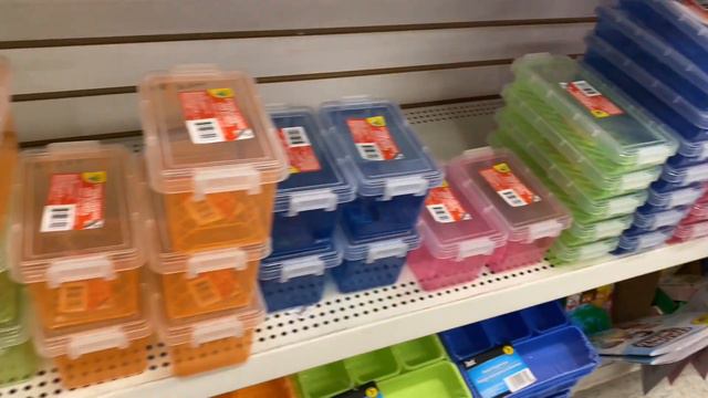 DOLLAR TREE  ~  Fall High End Finds  ~  2 Dollar Tree Locations ~ Sway To The 99 (7/6/21)