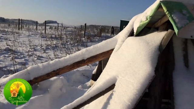 Родовое поместье зимой, зимовка пчёл в колодах. Январь 2018. смотреть онлайн