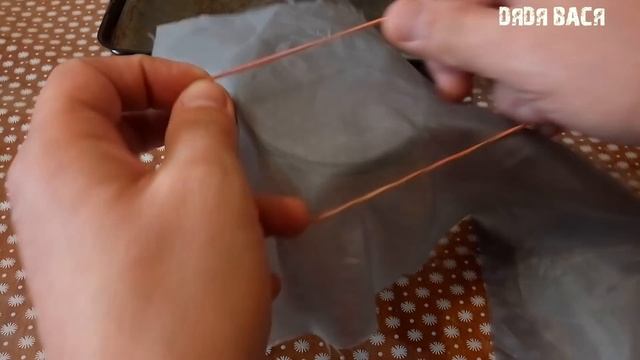 РАЗВЕДЕНИЕ АРТЕМИИ ДОМА БЕЗ АЭРАЦИИ, ПОДОГРЕВА И ПОДСВЕТКИ! ИНКУБАТОР ДЛЯ АРТЕМИИ!