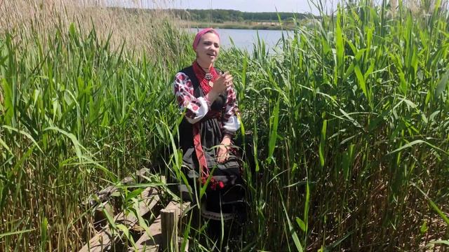 Вийду я за ворота смотреть онлайн