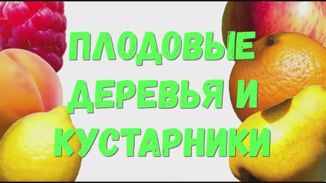 Плодовые деревья и кустарники. Деревья. Кустарники.