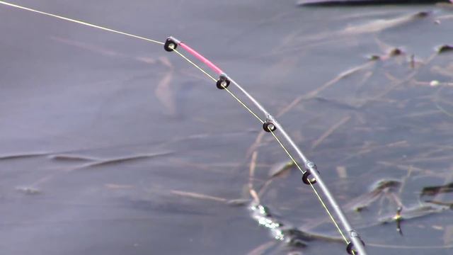 Рыбалка - Карась на фидер весной. Май 2015. Пруд Фарфорист, Прокопьевск смотреть онлайн