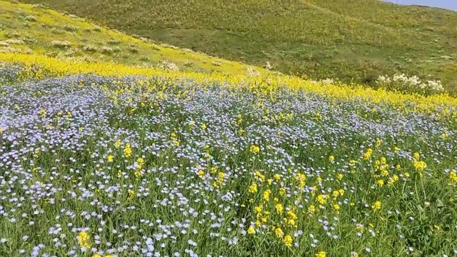 МАНЗАРАХОИ ЗЕБОИ ТОЧИКИСТОН ??? смотреть онлайн