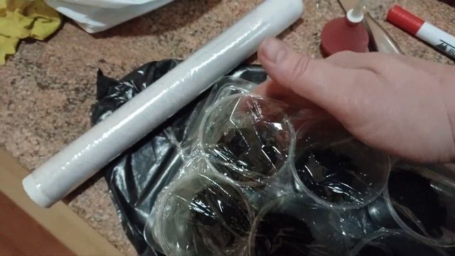 РАССАДУ ПОМИДОР выращивать легко / Посеем семена в стаканы / Томаты  вырастим без пикировки