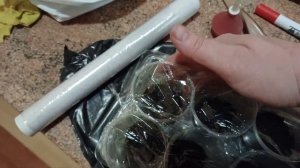 РАССАДУ ПОМИДОР выращивать легко / Посеем семена в стаканы / Томаты вырастим без пикировки