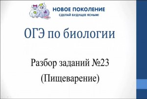 Биология. Разбор 23 заданий ОГЭ по биологии. Кровь