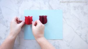 Gorgeous 3D Paper Tulip Flower Craft