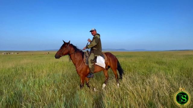 ФЕРМЕР. 4К 60к/с. Нукутский район. ст. *САМВЕЛ* смотреть онлайн