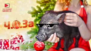 С новым годом, обойщики