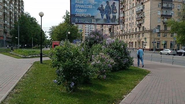 Соколиная гора (Щербаковская улица)