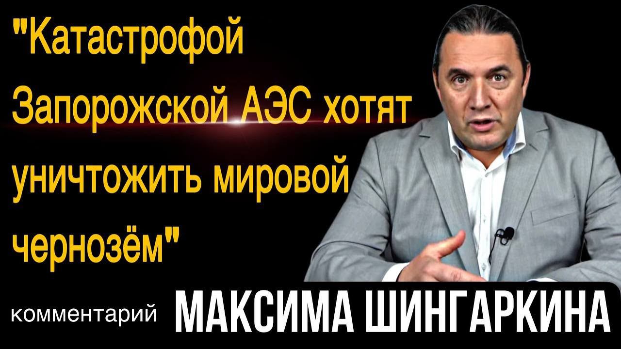 «Катастрофой Запорожской АЭС хотят уничтожить мировой чернозём». Комментарий Максима Шингаркина