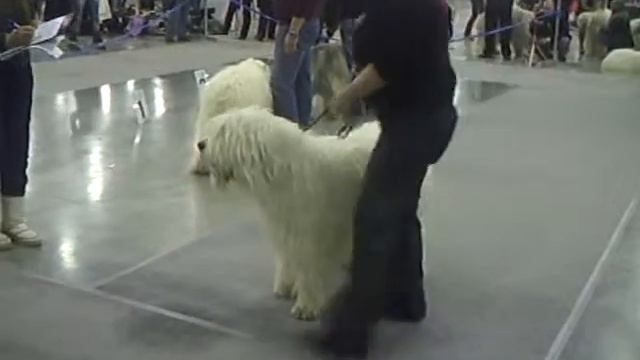 евразия-2010-1 эксперт М.Поливанов смотреть онлайн