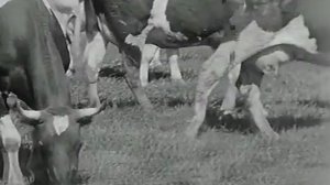 1974 год. Достижения тюменских аграриев.