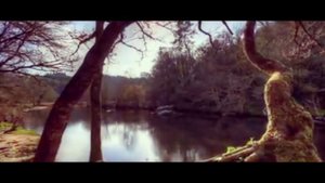 Мишари рошид очень красиво читает