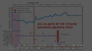 Базальная температура при беременности на ранних сроках до задержки месячных