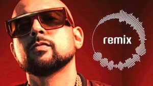 Sean Paul feat. Blu Cantrell - Breathe (DJ Guarja Remix)