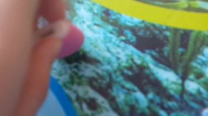 Мои ластики