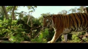 Самые известные животные людоеды