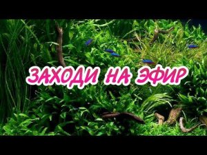 ОБЯЗАТЕЛЬНО ЗАХОДИ НА ПРЯМОЙ ЭФИР!!!