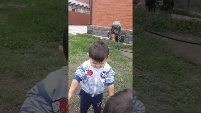 Дети любят рыб 🐟 смотреть онлайн