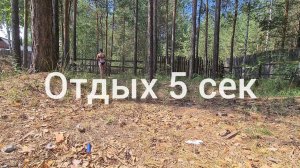 5 моих любимых упражнений на ягодицы, бедра, пресс. Тренировка на даче в лесу.