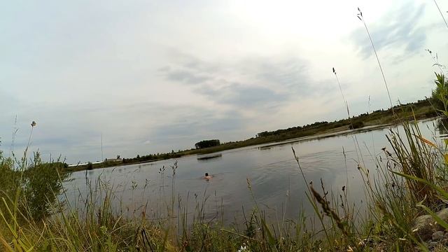 На озере напал лебедь. Рыбалка на спиннинг смотреть онлайн