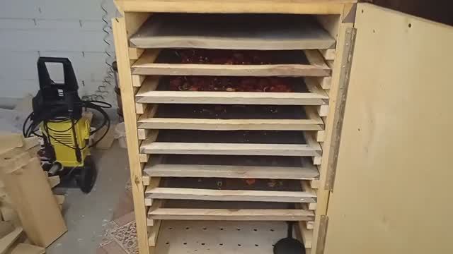 Сушильный шкаф с терморегулятором смотреть онлайн