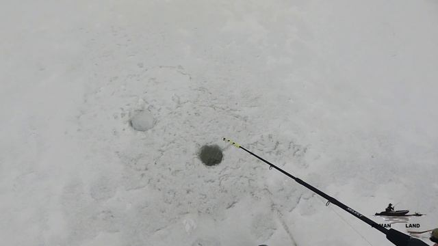 Зимняя Рыбалка на БАЛАНСИР в КАМЫШЕ ! Ловля ЩУКИ в декабре . смотреть онлайн