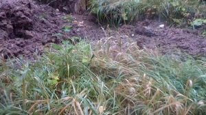 Коп металлолома экскаватором Kraneks