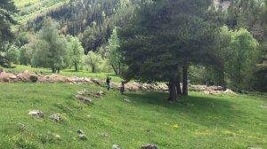 Balham - Почему такое вкусное?